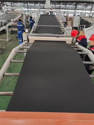 PET板材擠出機_TPE高填充板材擠出機